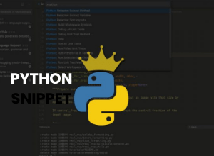 Python Snippet for beginners developer by KINFE MICHAEL TARIKU(KINFISH TECH)